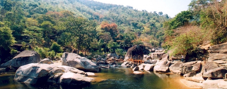 Yok Don National Park to boost elephant-friendly tourism