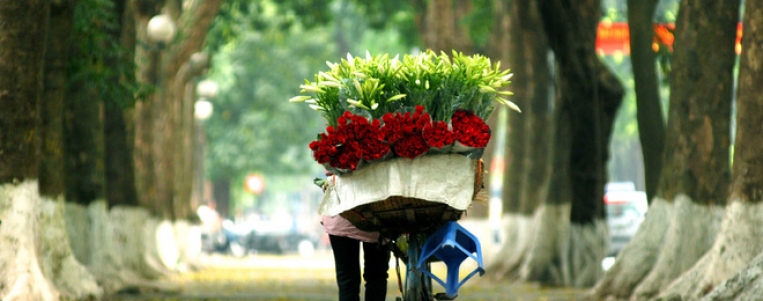 The economy of Vietnam