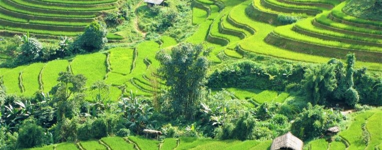 Vietnam new visa policy