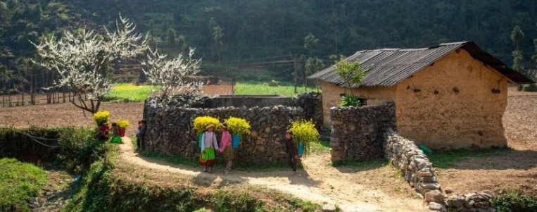 All you need to know about health and safety in Vietnam