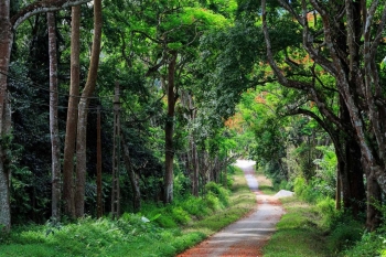 Journey in Cucphuong national park