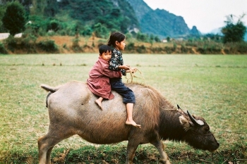 Trip splendor Vietnam & Cambodia
